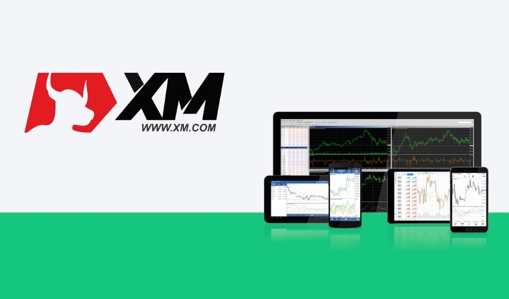 Tổng hợp các loại tài khoản XM từ A - Z, loại nào tốt nhất?