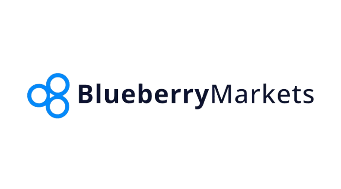 Blueberry Markets