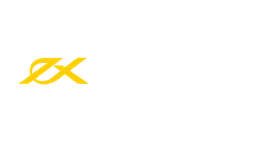 thebrokers