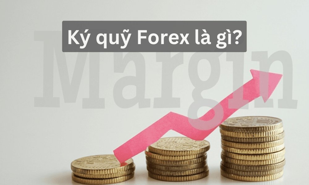 Ký quỹ Forex là gì? Lợi ích và cách để quản lý mức ký quỹ hiệu quả nhất.